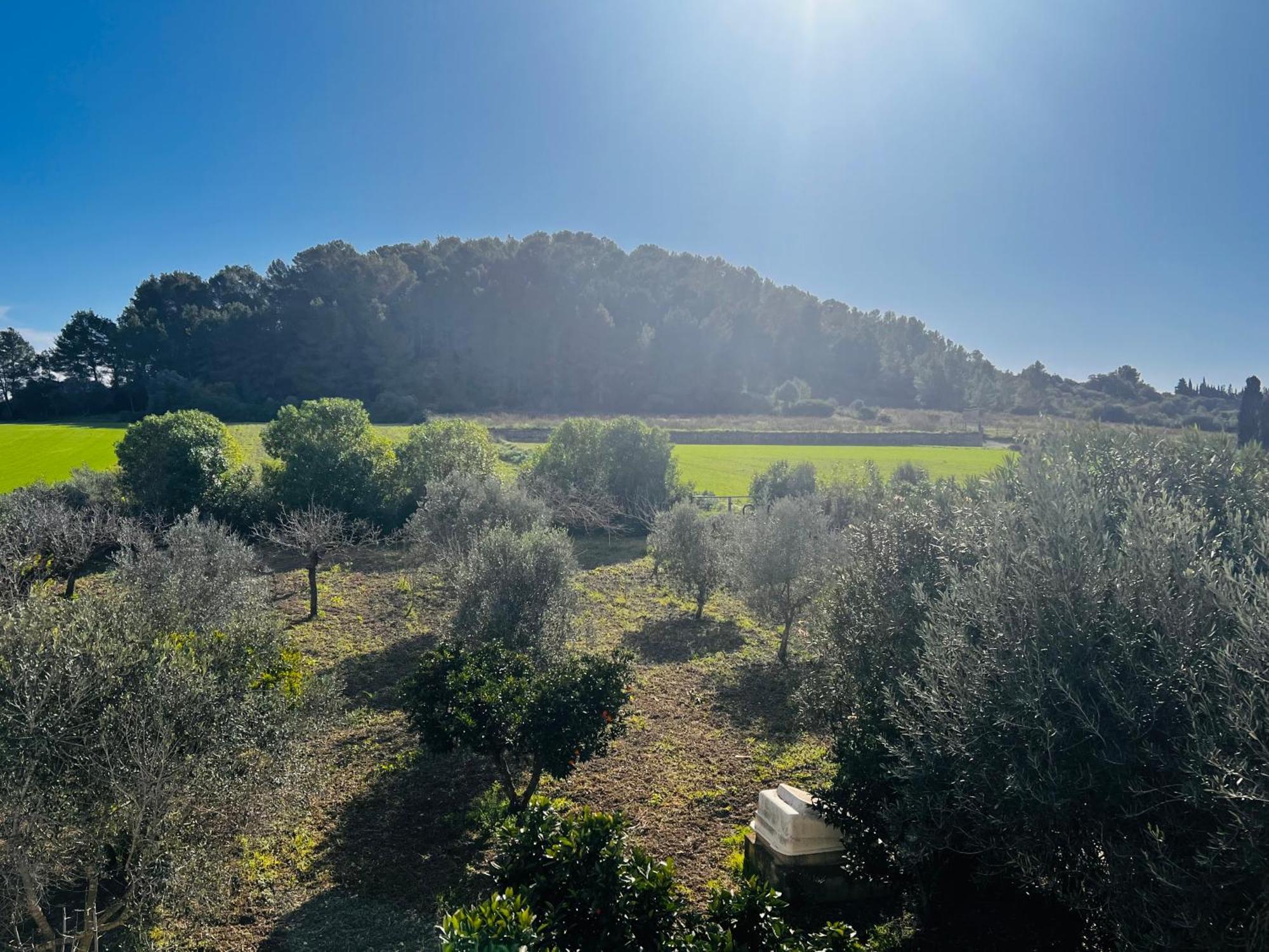 Es Puig Villa Santa Margalida Luaran gambar