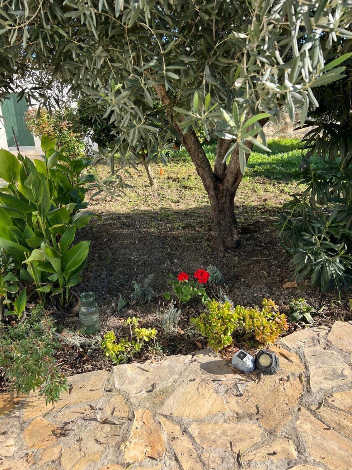 Es Puig Villa Santa Margalida Luaran gambar