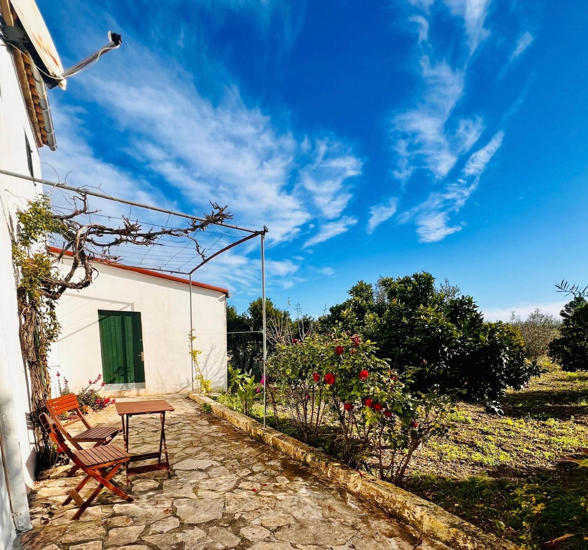 Es Puig Villa Santa Margalida Luaran gambar