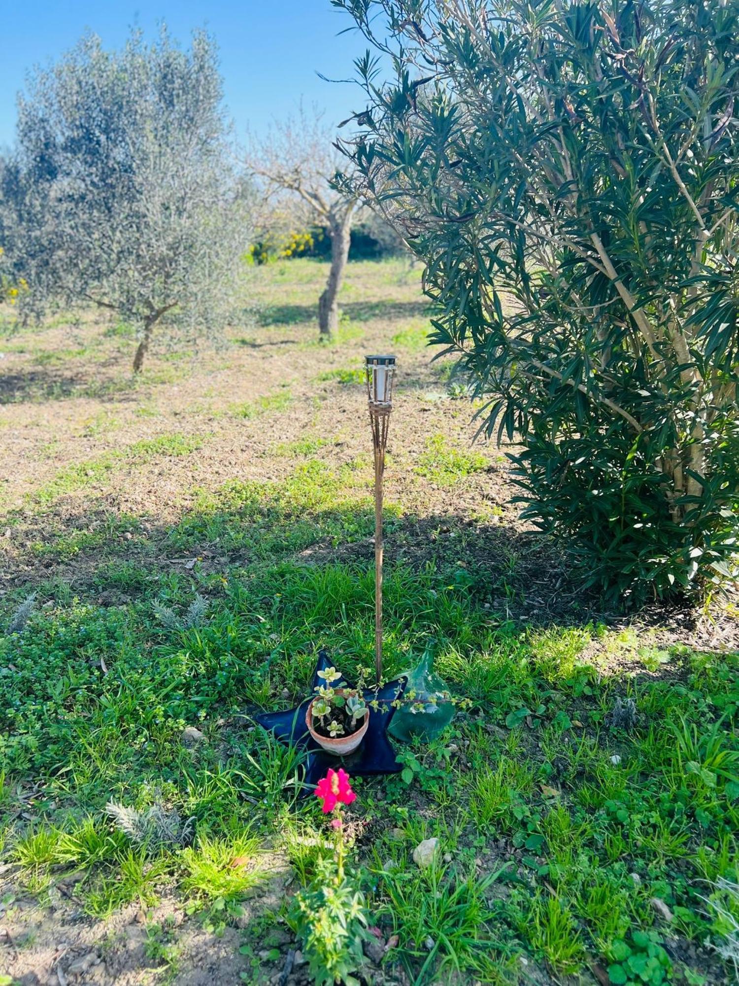 Es Puig Villa Santa Margalida Luaran gambar